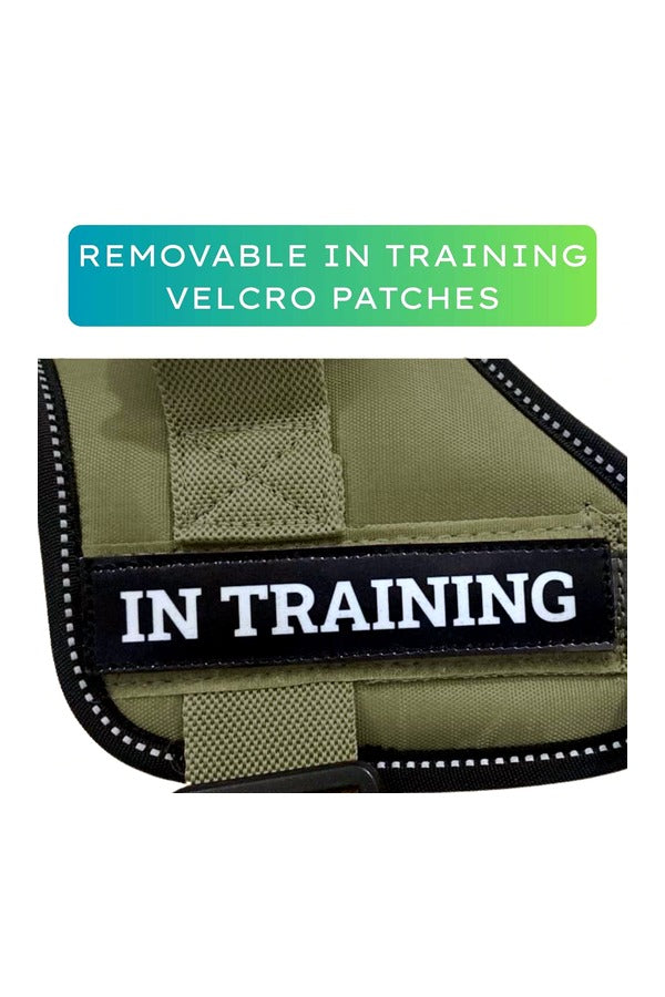 Q-Type Dog Harness