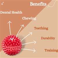 Pet Rubber Spike Ball, Chewing, Teething, and Training Bouncy Ball Toy (Red, Standard)