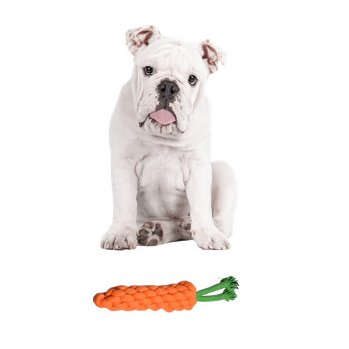 Dog Rope Toy Carrot Design (Orange, Small)