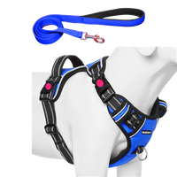 Dog Chest Belt with Leash , No Pull Adjustable Harness, Easy Control and Handle for Training