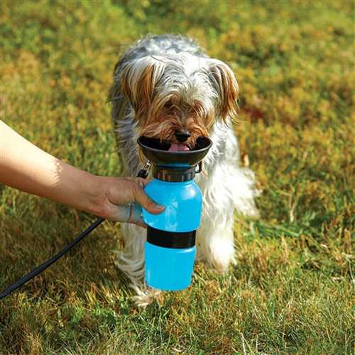 Pet Plastic Drinking Water Bowl Bottle (Assorted, Pack Of 1)