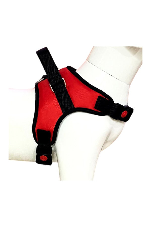 Dog Body Belt Harness, Choke-Free, Double Padded, Adjustable Neck and Chest Recommended for French Bulldog, Pug & Small Dog Breeds