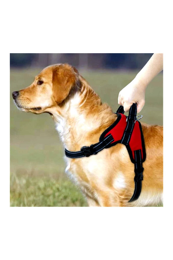 Dog Body Belt Harness, Choke-Free, Double Padded, Adjustable Neck and Chest Recommended for French Bulldog, Pug & Small Dog Breeds