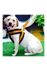Nylon Dog Harness Soft Fur Padded With Adjustable Straps