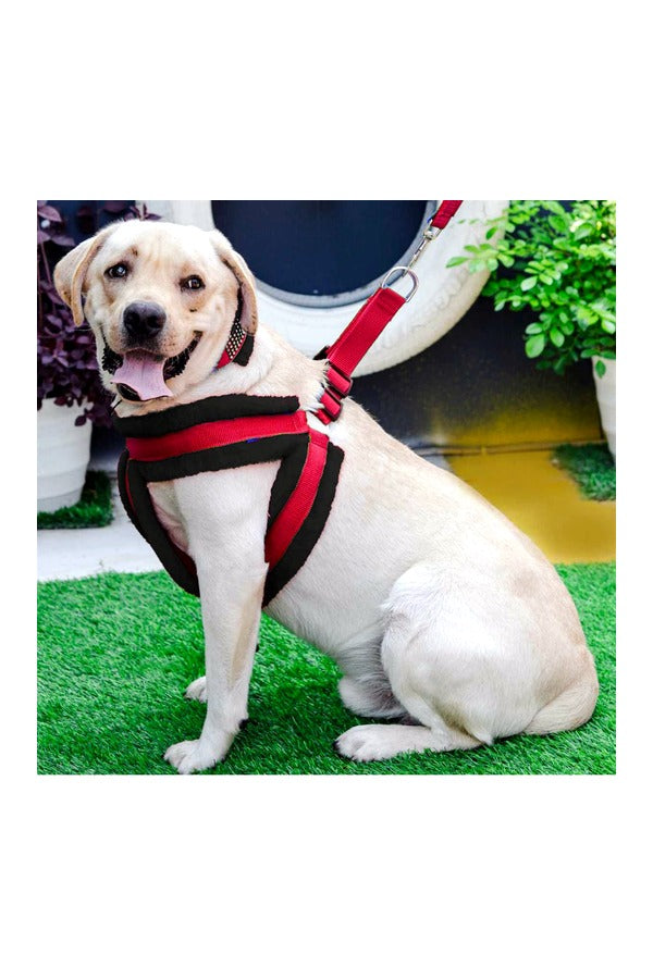 Nylon Dog Harness Soft Fur Padded With Adjustable Straps