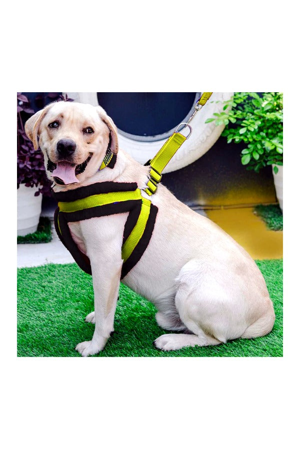 Nylon Dog Harness Soft Fur Padded With Adjustable Straps