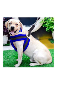 Nylon Dog Harness Soft Fur Padded With Adjustable Straps