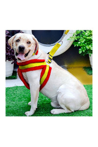 Nylon Dog Harness Soft Fur Padded With Adjustable Straps
