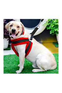 Nylon Dog Harness Soft Fur Padded With Adjustable Straps