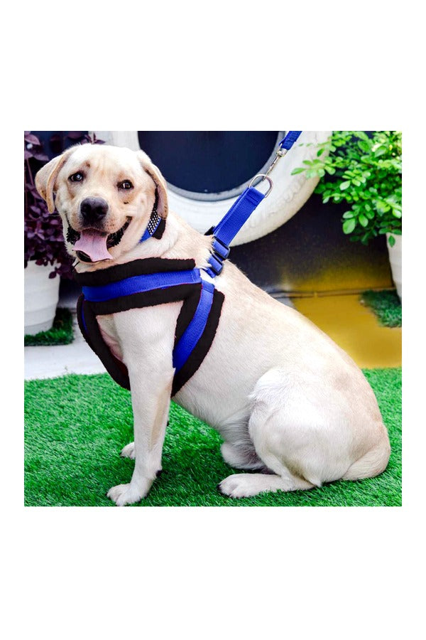 Nylon Dog Harness Soft Fur Padded With Adjustable Straps