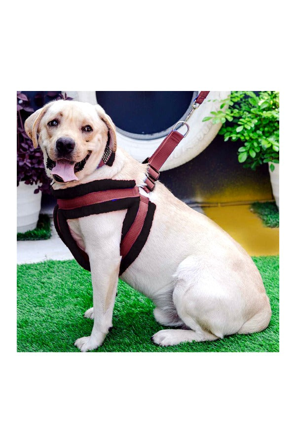 Nylon Dog Harness Soft Fur Padded With Adjustable Straps