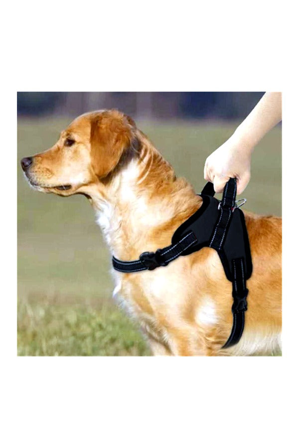 Dog Chest Belt with Leash , No Pull Adjustable Harness, Easy Control and Handle for Training