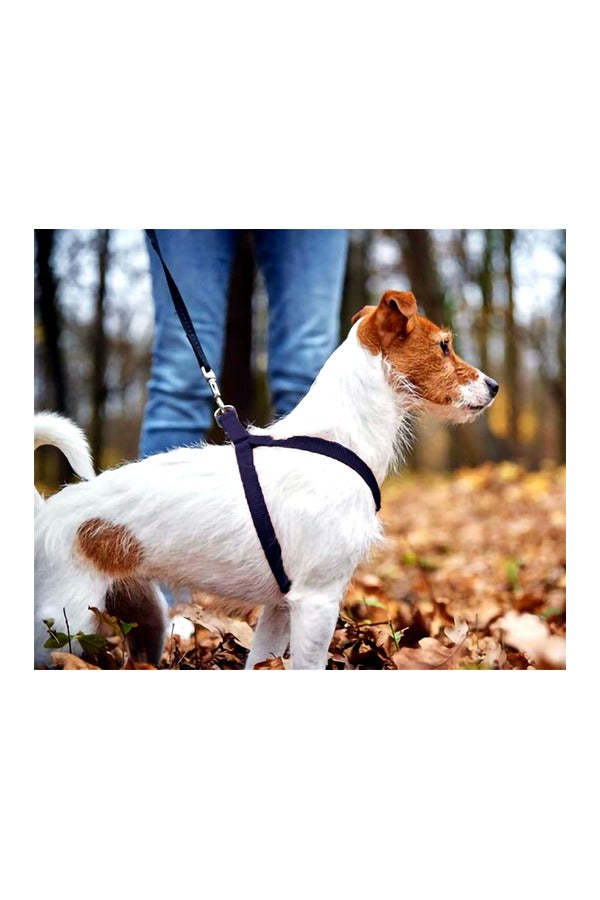 Nylon Dog Harness Soft Padded With Adjustable Straps (0.75 inch)