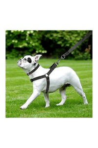 Nylon Dog Harness Soft Padded With Adjustable Straps (0.75 inch)