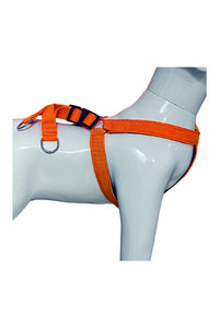 Nylon Dog Harness Soft Padded With Adjustable Straps (0.75 inch)