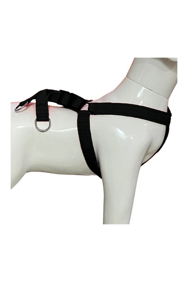 Nylon Dog Harness Soft Padded With Adjustable Straps (0.75 inch)