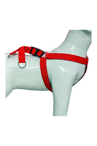 Nylon Dog Harness Soft Padded With Adjustable Straps (0.75 inch)