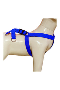 Nylon Dog Harness Soft Padded With Adjustable Straps (0.75 inch)