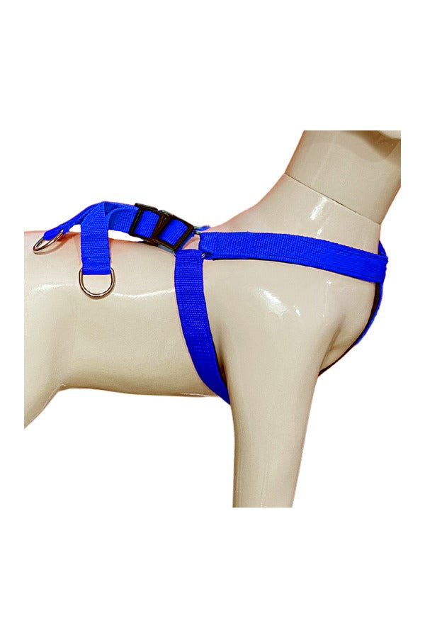 Nylon Dog Harness Soft Padded With Adjustable Straps (0.75 inch)