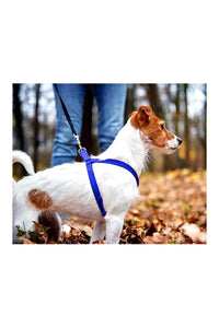 Nylon Dog Harness Soft Padded With Adjustable Straps (0.75 inch)