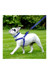 Nylon Dog Harness Soft Padded With Adjustable Straps (0.75 inch)