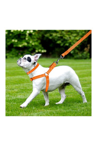 Nylon Dog Harness Soft Padded With Adjustable Straps (0.75 inch)