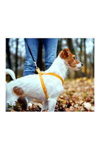 Nylon Dog Harness Soft Padded With Adjustable Straps (0.75 inch)