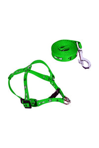 Puppy Harness, Leash Combo Set, Nylon Fabric, Adjustable Size, Bone Paw Printed (Recommended For 02-10 KG Puppy)