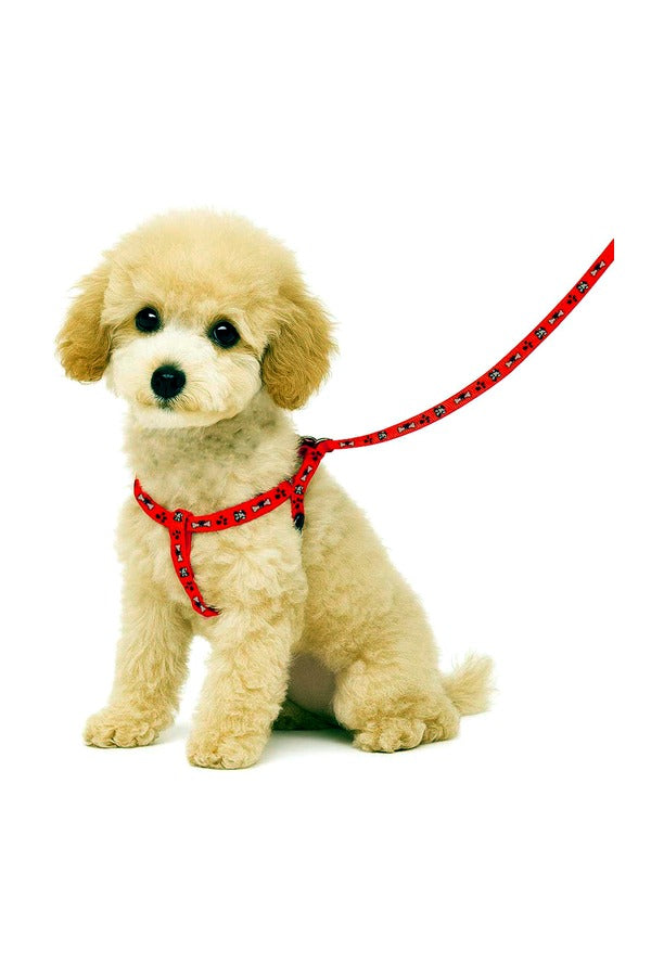 Puppy Harness, Leash Combo Set, Nylon Fabric, Adjustable Size, Bone Paw Printed (Recommended For 02-10 KG Puppy)