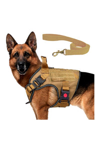 Tactical Dog Harness with Leash | Dog Training Belt | Adjustable Size