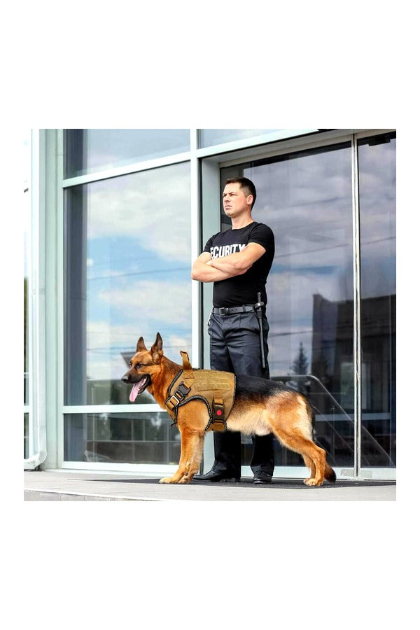 Tactical Dog Harness with Leash | Dog Training Belt | Adjustable Size