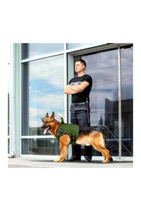 Tactical Dog Harness | No Pull Dog Training Belt | Adjustable Size for Medium Dogs