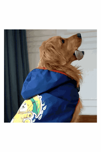 Happy Paws Printed Waterproof Dog Raincoat – Cartoon Monsoon Rain Jacket for Dogs
