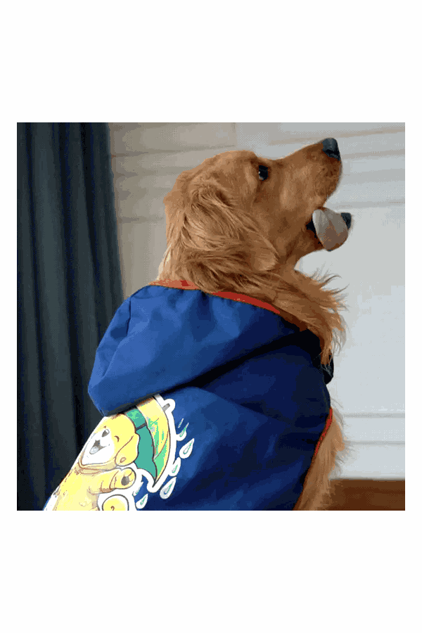 Happy Paws Printed Waterproof Dog Raincoat – Cartoon Monsoon Rain Jacket for Dogs