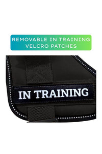 Dog Harness, Adjustable Dog Body Belt, Q-Type Vest