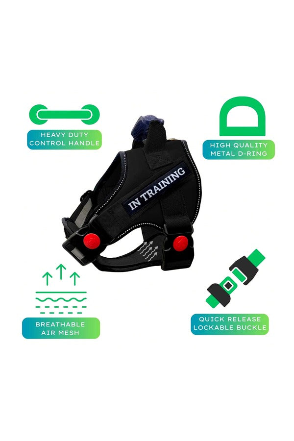 Dog Harness, Adjustable Dog Body Belt, Q-Type Vest