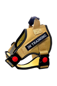 Dog Harness, Adjustable Dog Body Belt, Q-Type Vest