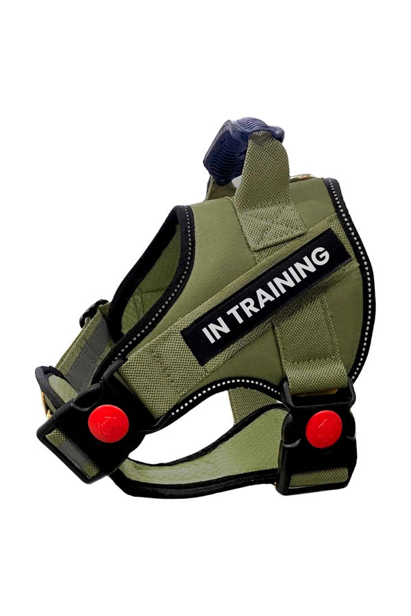 Dog Harness, Adjustable Dog Body Belt, Q-Type Vest