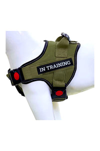 Dog Harness, Adjustable Dog Body Belt, Q-Type Vest