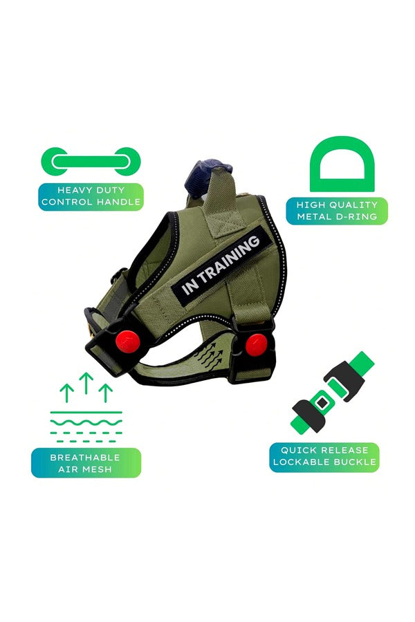 Dog Harness, Adjustable Dog Body Belt, Q-Type Vest
