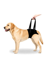 Dog Support Harness for Back Legs | Adjustable and Comfortable Design with Padded Back Legs for Elderly, Injured, Senior, Disabled Dogs