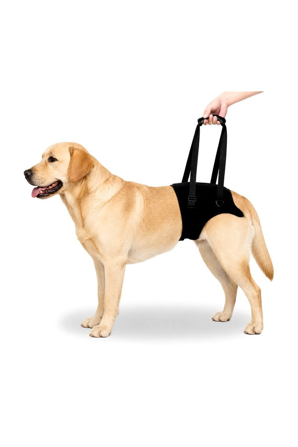 Dog Support Harness for Back Legs | Adjustable and Comfortable Design with Padded Back Legs for Elderly, Injured, Senior, Disabled Dogs