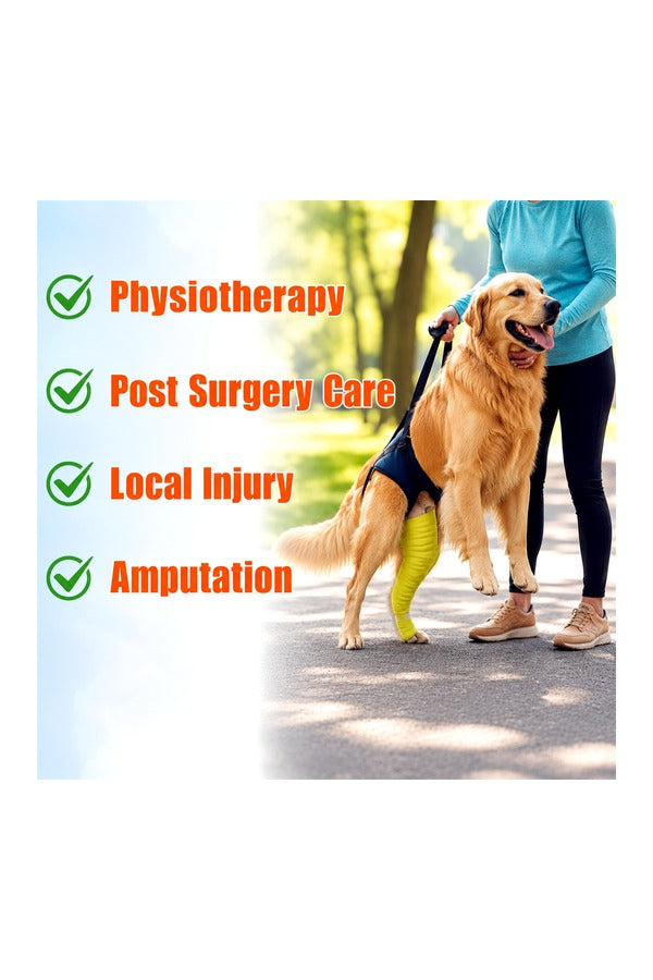 Dog Support Harness for Back Legs | Adjustable and Comfortable Design with Padded Back Legs for Elderly, Injured, Senior, Disabled Dogs