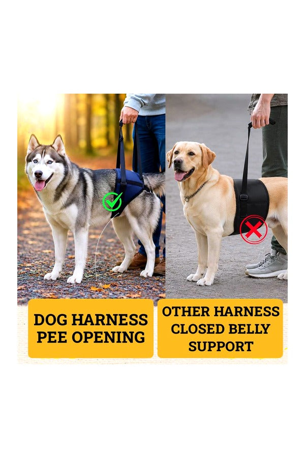 Dog Support Harness for Back Legs | Adjustable and Comfortable Design with Padded Back Legs for Elderly, Injured, Senior, Disabled Dogs