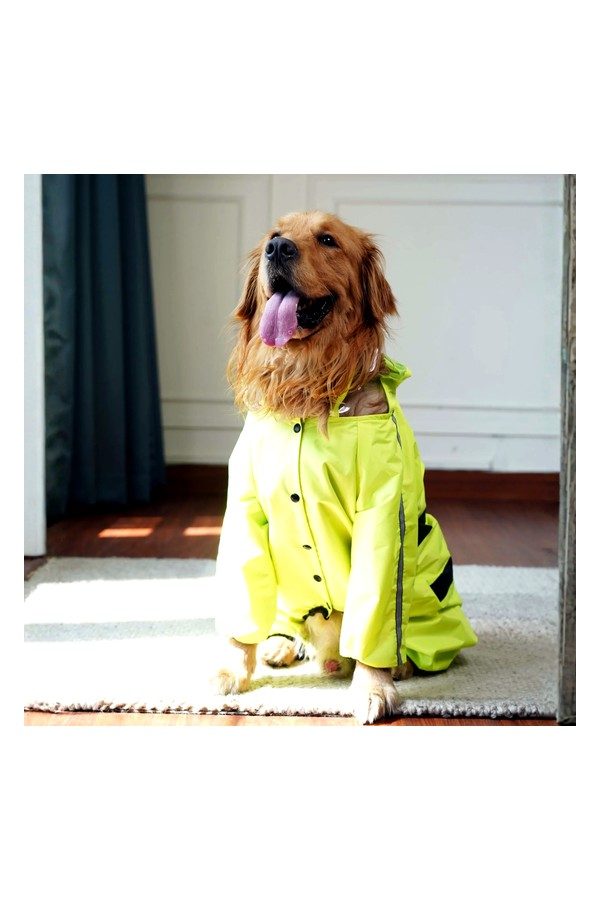 Waterproof Neon Green Dog Raincoat Lightweight Hooded Rain Jacket for Dogs