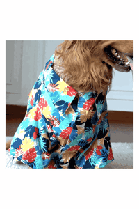 GeoShield Waterproof Dog Raincoat with Hood for Small to Large Dogs