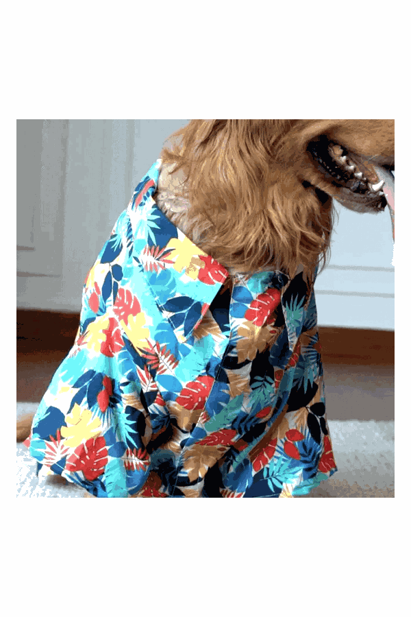 GeoShield Waterproof Dog Raincoat with Hood for Small to Large Dogs