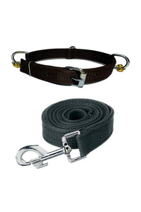 Nylon Dog Belt Combo of Ghungroo Collar with Leash, Dog Adjustable Nylon Bell Collar & Leash
