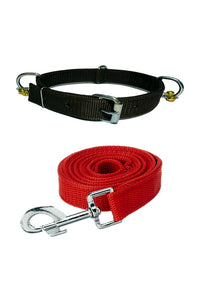 Nylon Dog Belt Combo of Ghungroo Collar with Leash, Dog Adjustable Nylon Bell Collar & Leash