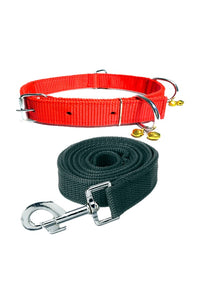 Nylon Dog Belt Combo of Ghungroo Collar with Leash, Dog Adjustable Nylon Bell Collar & Leash